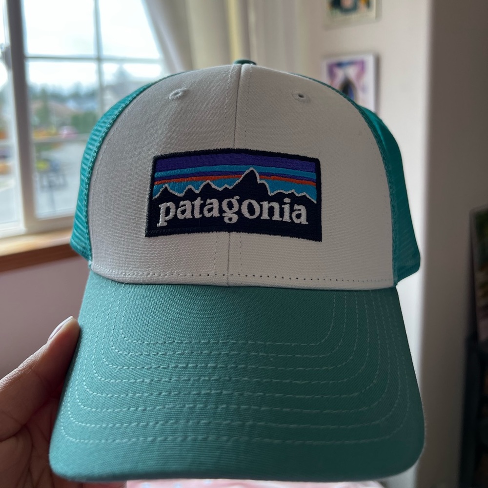 Patagonia hat (brand new)